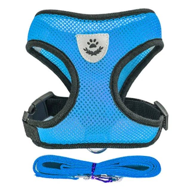 YTYINCN Dog Harness Leash for Pets