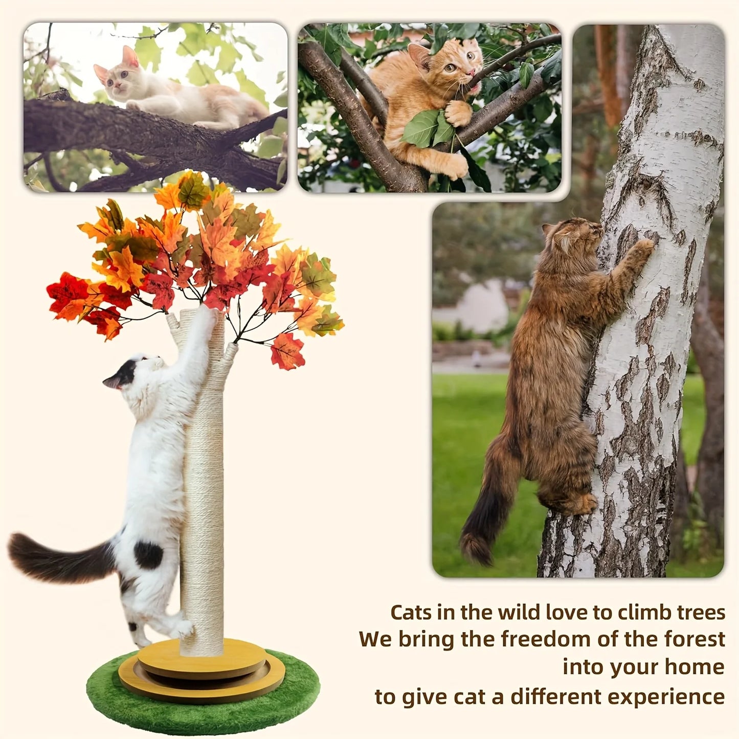 CN Guangdong Maple Leaf Cat Scratching Post With Wooden Turntable Base