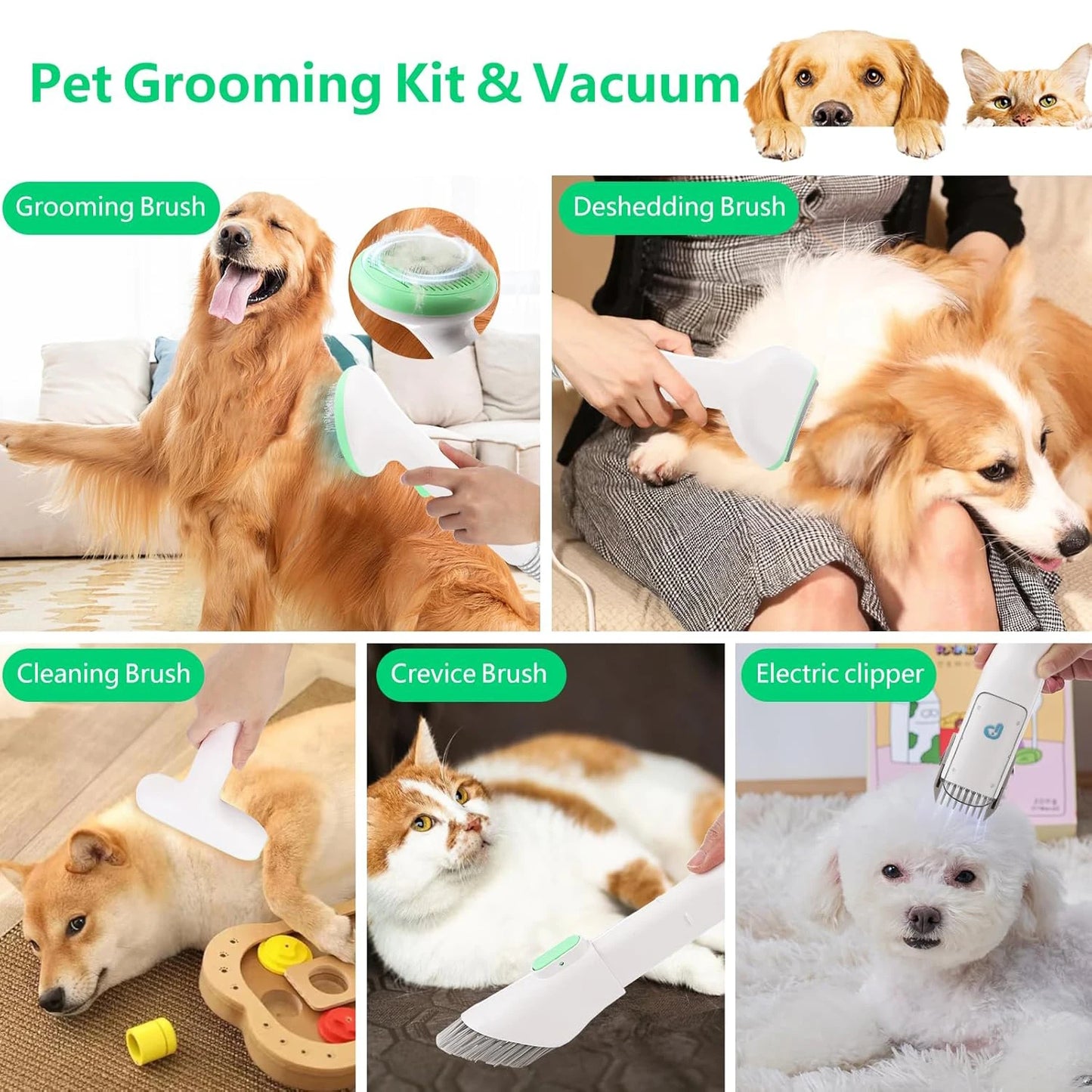 HiMISS Pet Grooming Kit 2L Vacuum Suction And 5 Tools