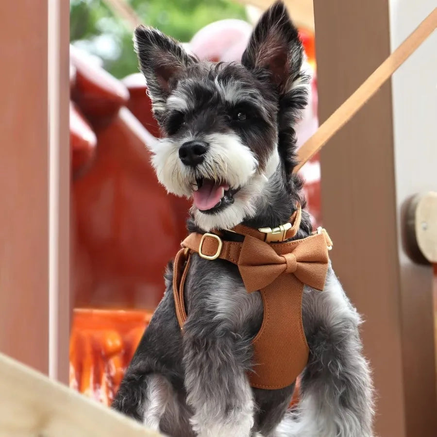 Adjustable Dog Harness Set With Three Detachable Bows And Leash