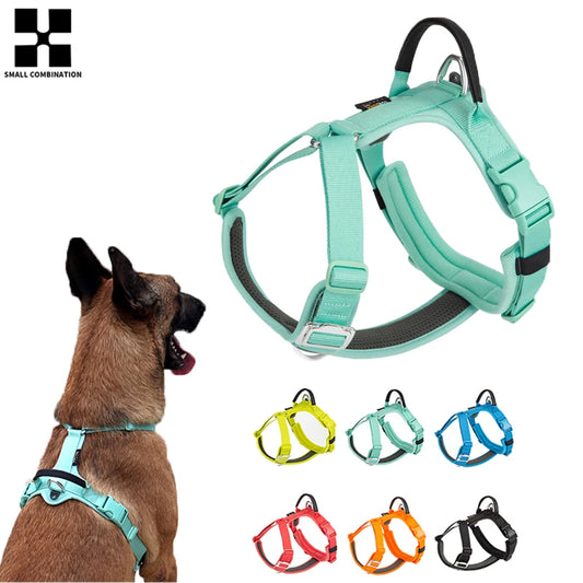 SMALL COMBINATION Reflective No Pull Adjustable Nylon Dog Harness
