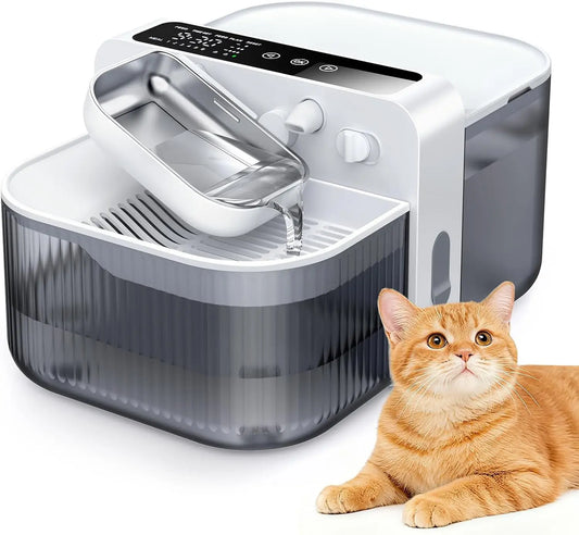 Wireless Pet Water Fountain With Custom Flow Schedule For Cats