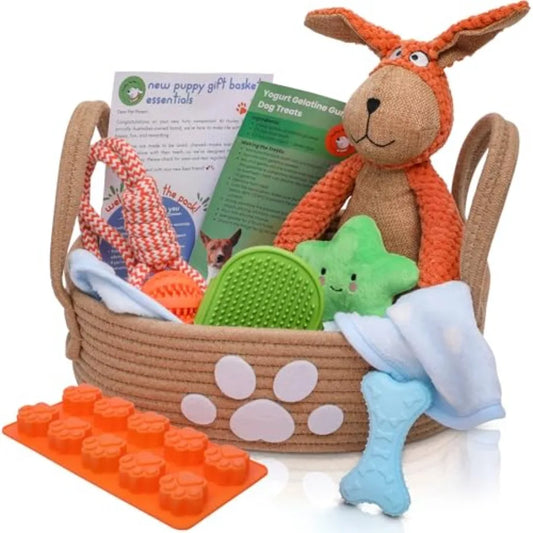 Puppy Starter Kit With Chew Toys And Training Essentials