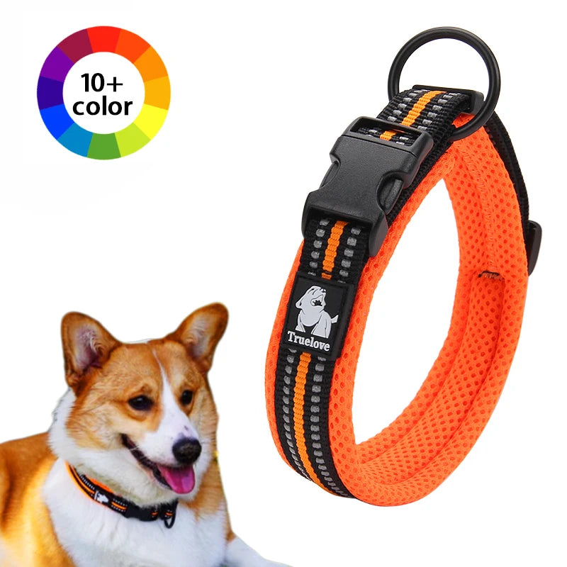 Winhyepet Nylon Dog Walking Collar Padded Comfort Breakaway