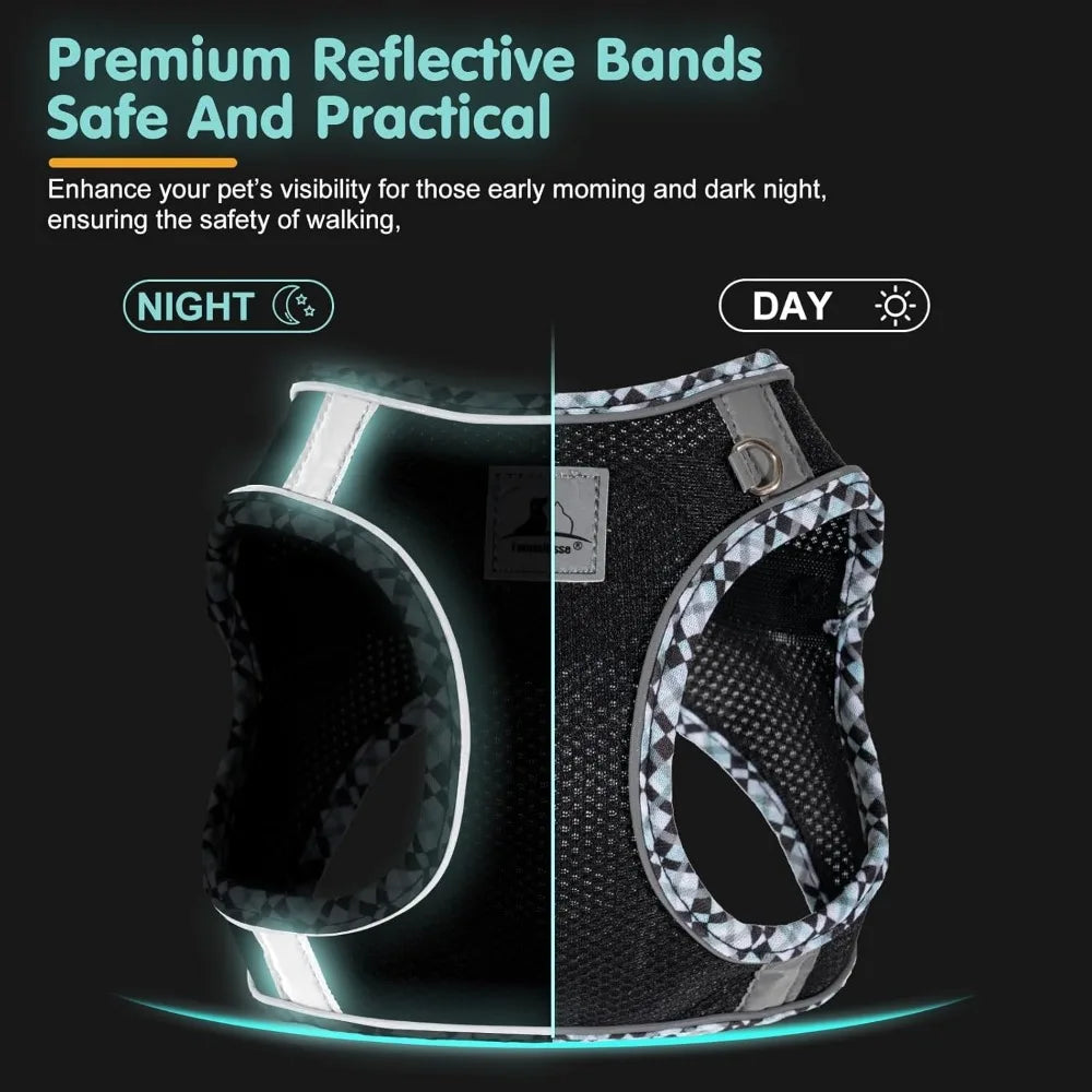 NONECN Breathable Dog Harness And Leash Set For Small Dogs