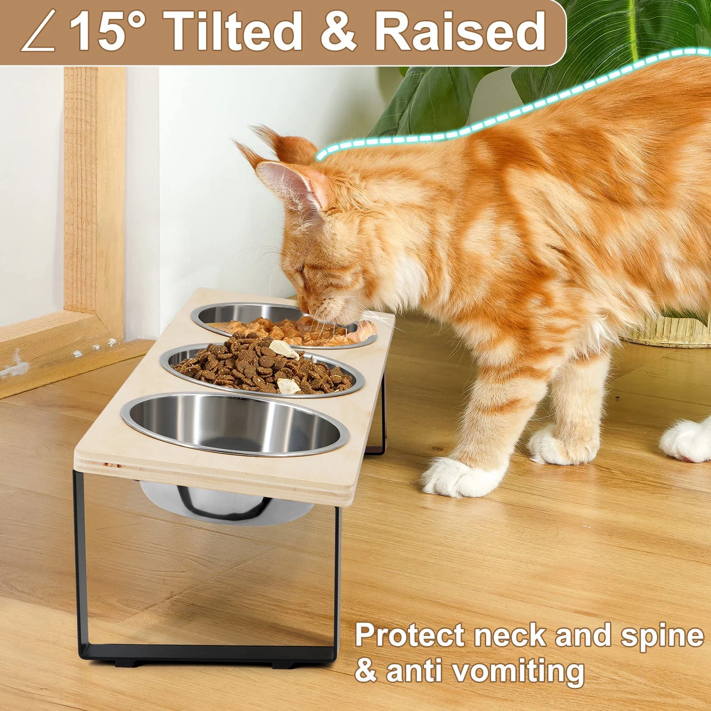 PETRAVEL Tilted Elevated Cat Bowls 3 Stainless Steel With Stand
