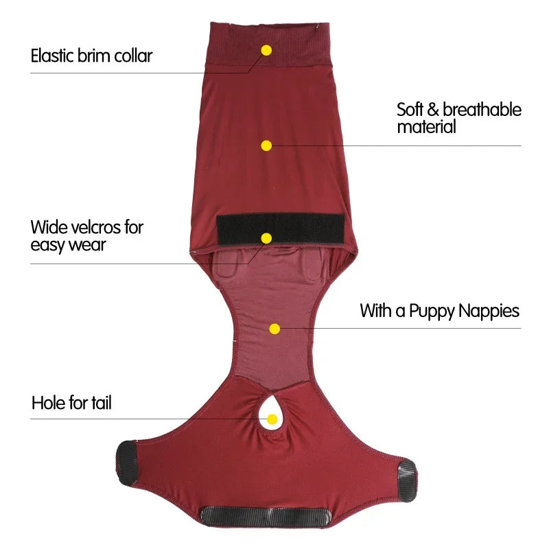 Guangdong Hign-concerned Recovery Dog and Cat Suit for Postoperative Care