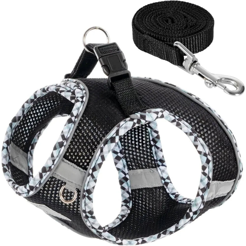 NONECN Breathable Dog Harness And Leash Set For Small Dogs