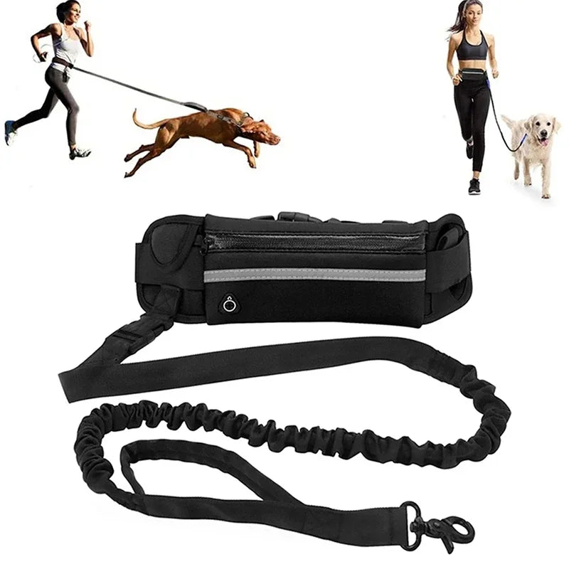 Reflective Hands Free Dog Leash With Retractable Belt Waist Bag