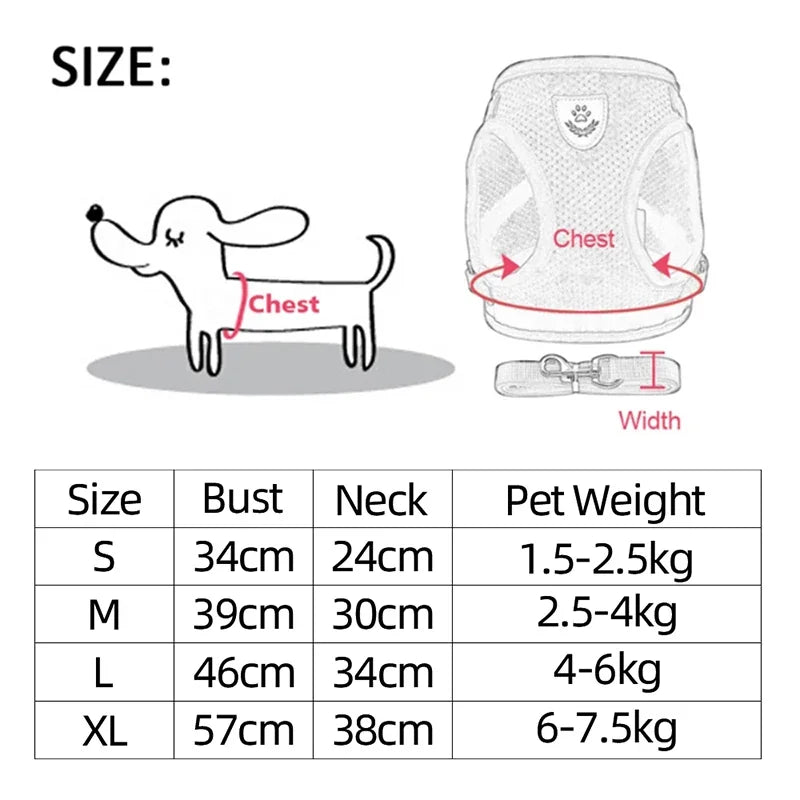 YTYINCN Dog Harness Leash for Pets