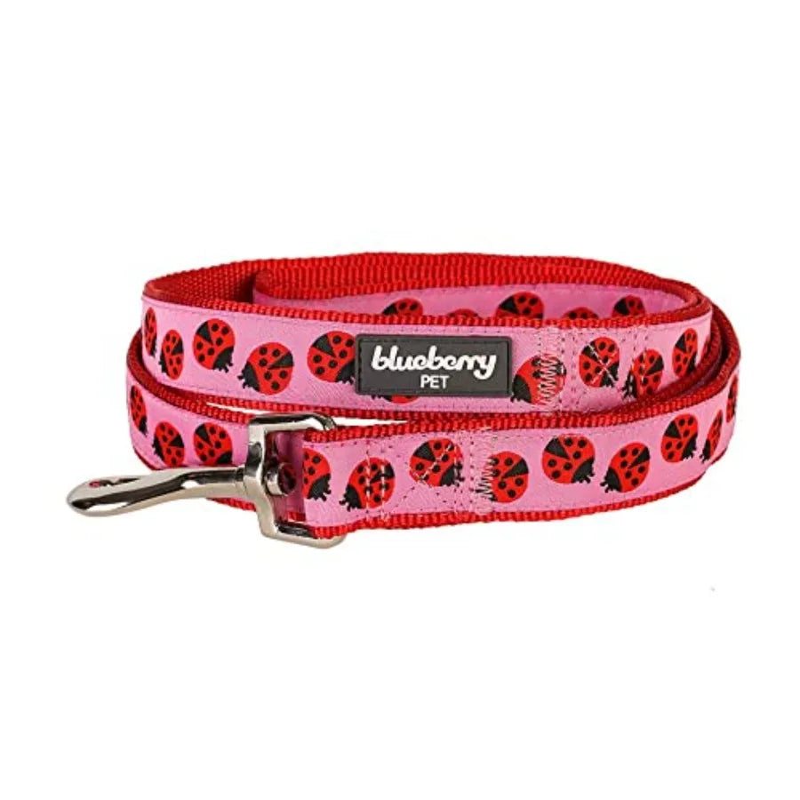 Durable Ladybug Designer Nylon Dog Leash With Webbing Pattern