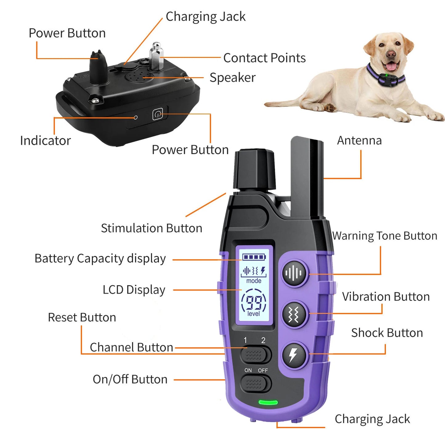 WXRPET 3300ft Waterproof Electric Dog Training Collar With Remote Control
