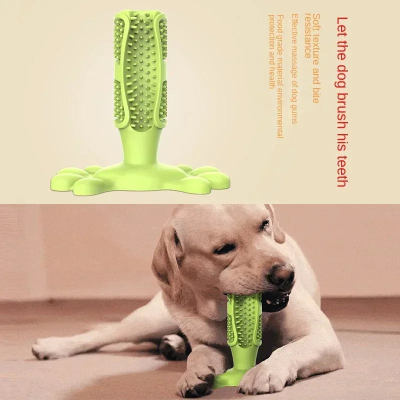 Pet Dog Cactus Interactive Rubber Chew Toy Dental Toothbrush Dispenser
