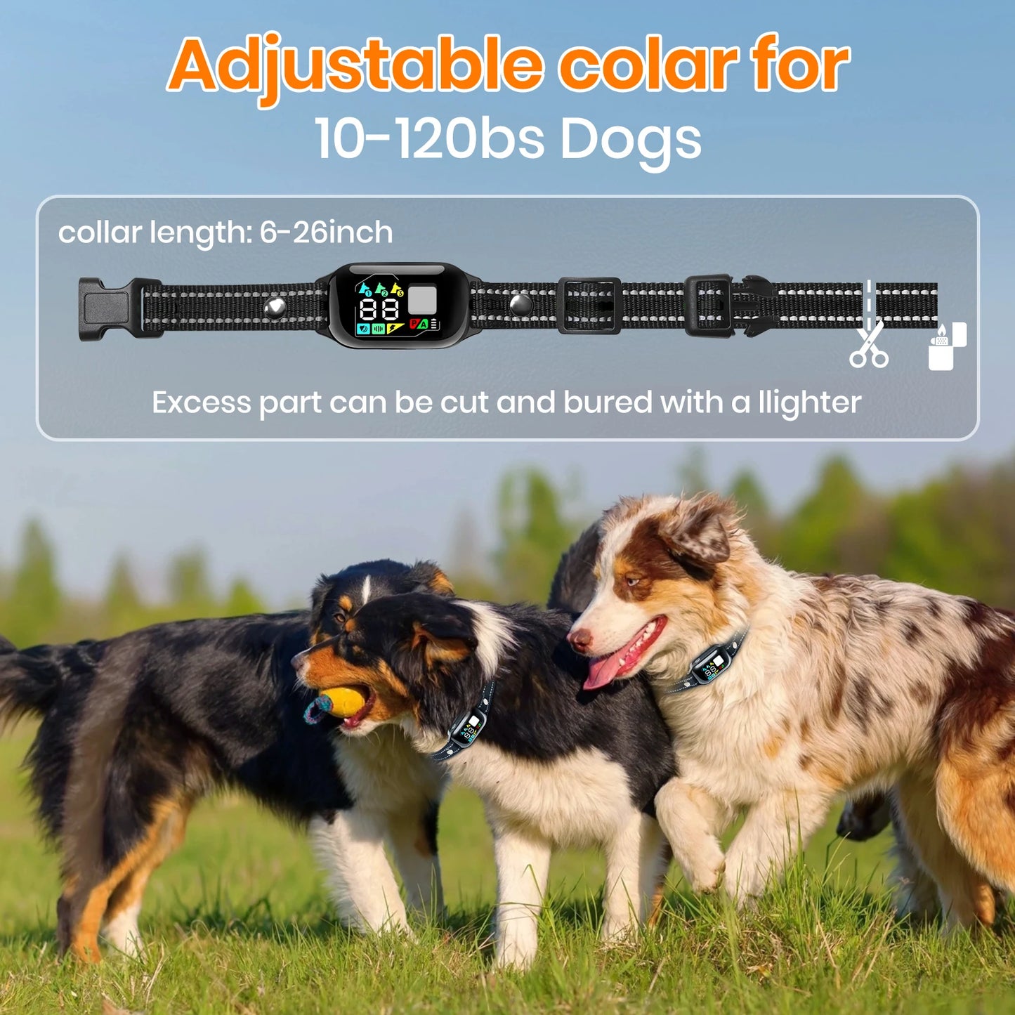 PaiPaitek 2 In 1 Dog Training Collar 3 Channel Bark Control IPX7 Waterproof