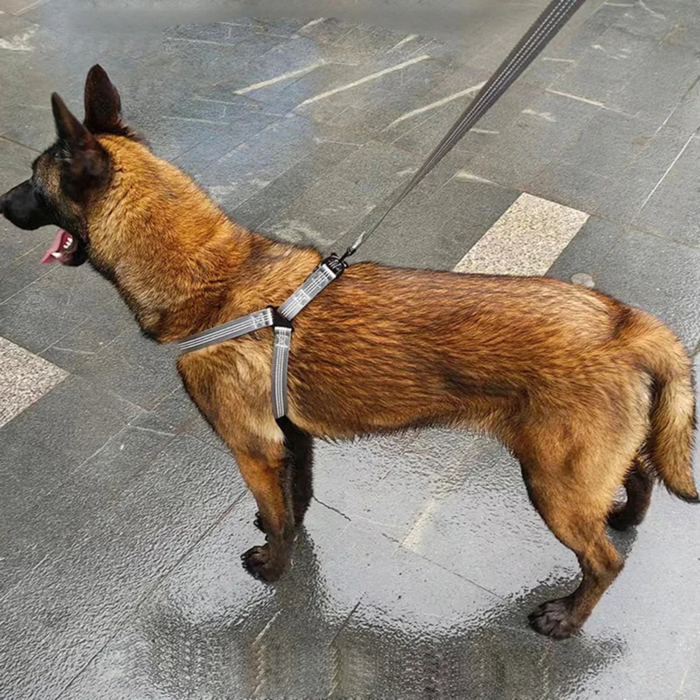 NONECN Adjustable Reflective Breathable Dog Y Harness Puppies And Dogs