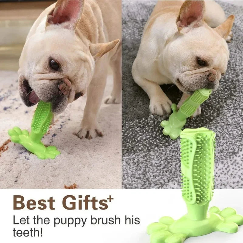 Pet Dog Cactus Interactive Rubber Chew Toy Dental Toothbrush Dispenser