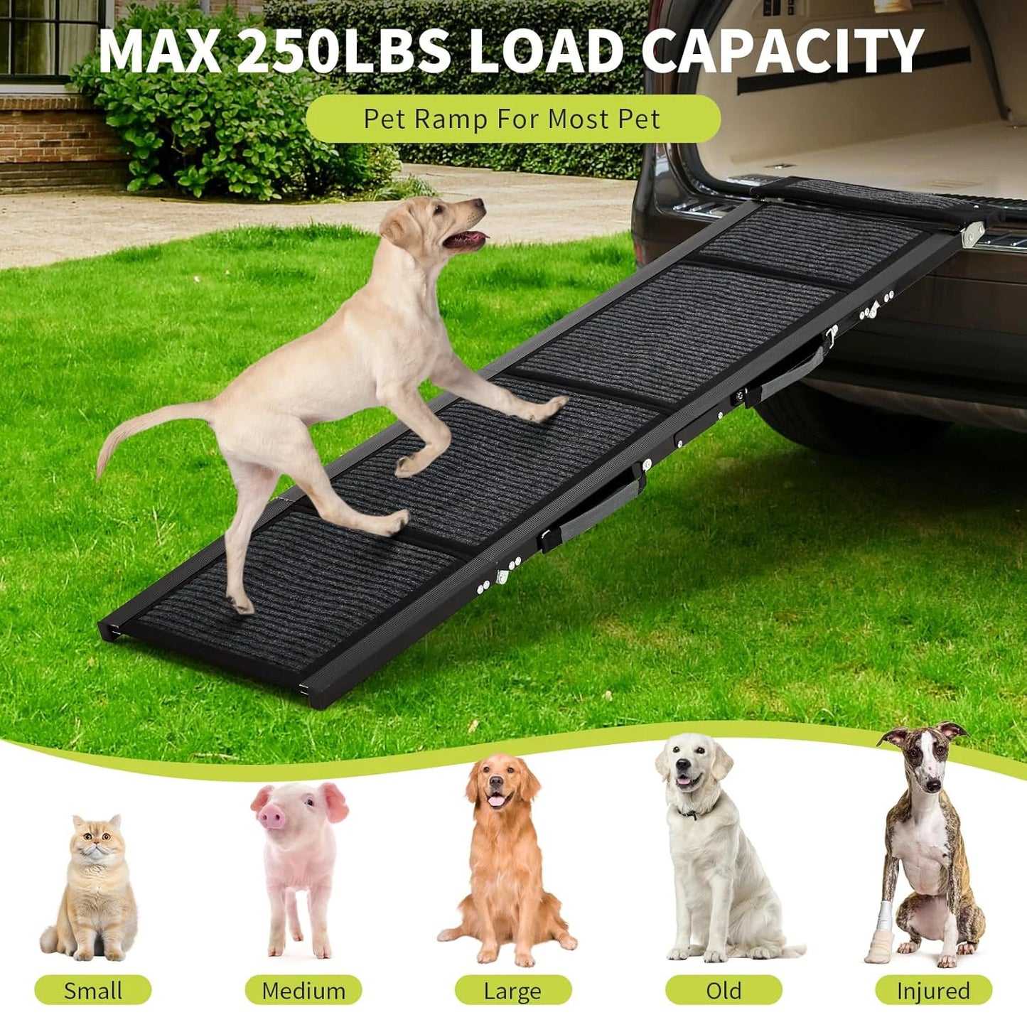 HiMISSDog Upgraded Car Ramp For Dogs Folding Non Slip Surface