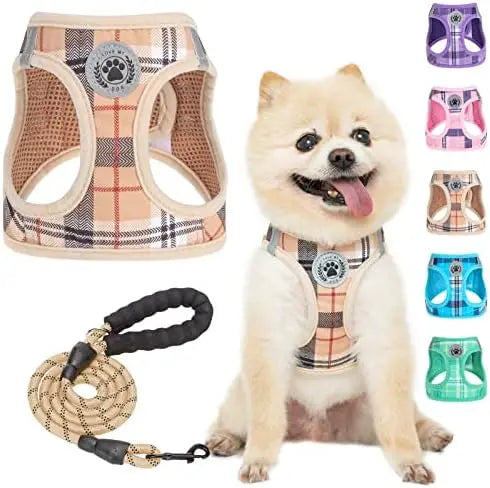 YTYIN Safe Harness And Leash Set For Small Dogs Reflective