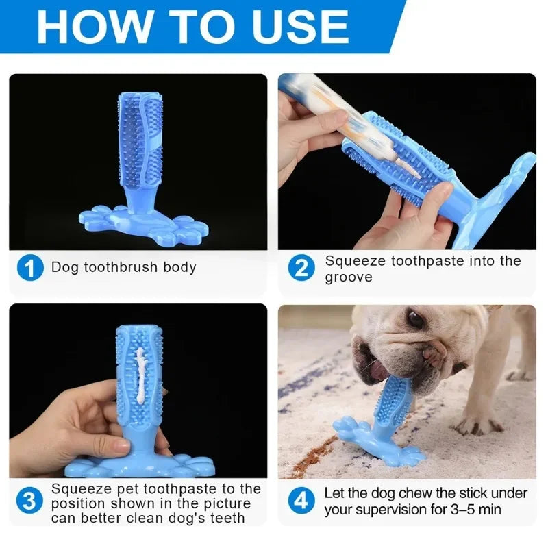 Pet Dog Cactus Interactive Rubber Chew Toy Dental Toothbrush Dispenser