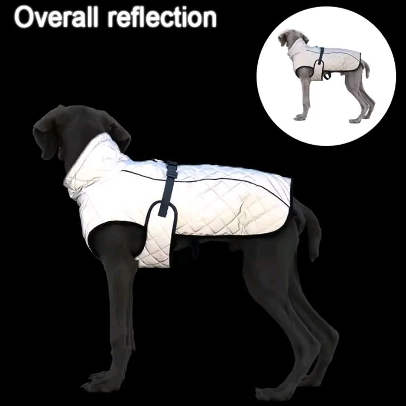 Choice Thickened Autumn Winter Dog Coat Windproof Reflective Water Repellent