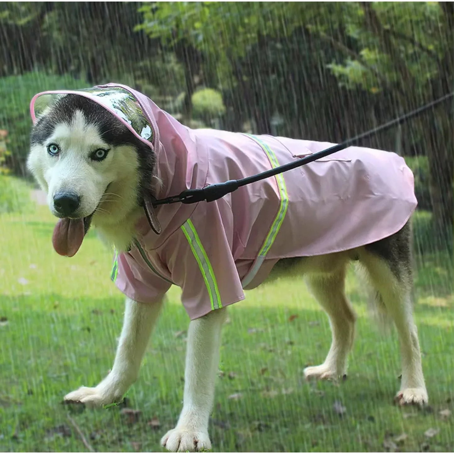 Glow Waterproof Dog Coat For All Breeds All Weather Protection