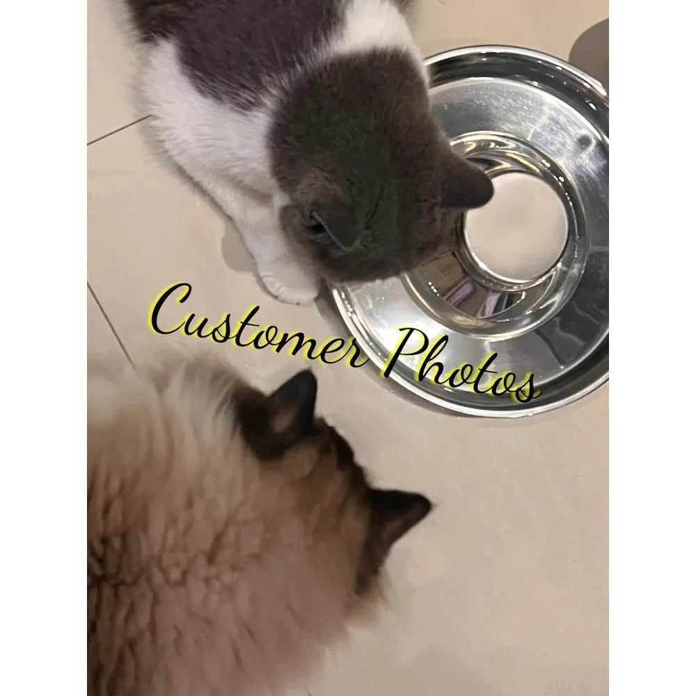 Hign-concerned Stainless Steel Puppy Weaning Bowls With Non Slip Mat