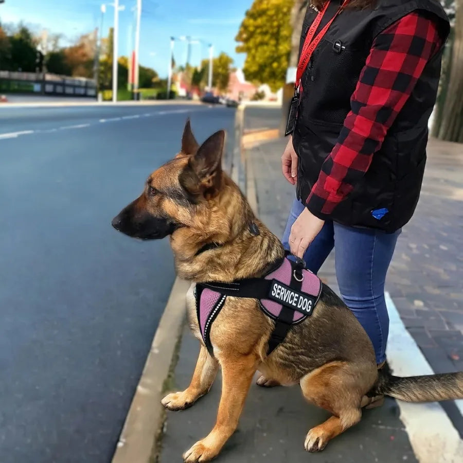 XMSJCN ActiveDogs Full Service Dog Kit With Harness And ID