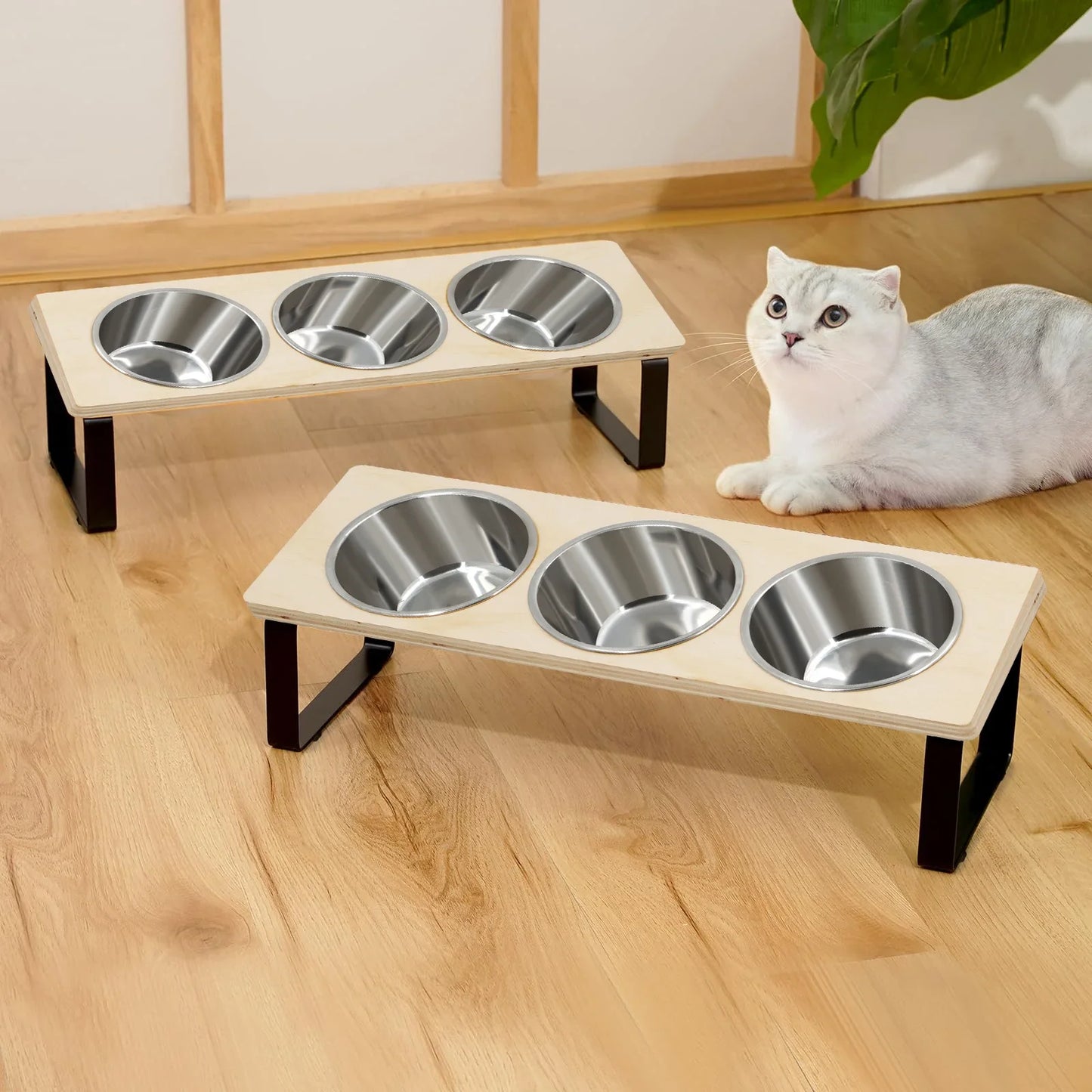 PETRAVEL Tilted Elevated Cat Bowls 3 Stainless Steel With Stand