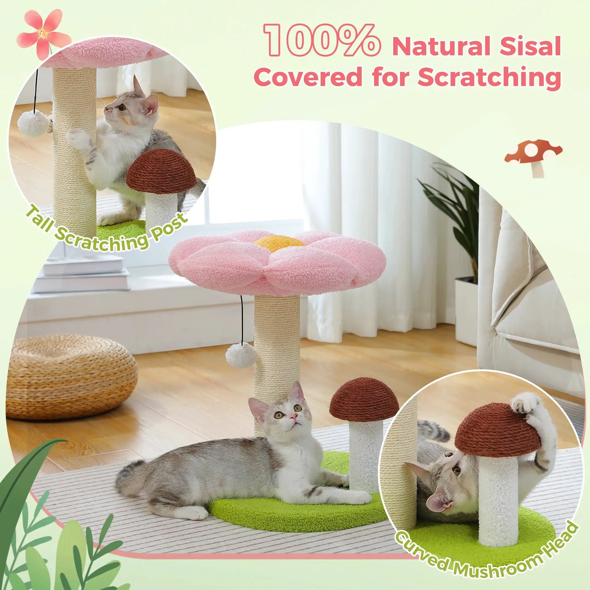 Small Cat Scratching Posts with Removable Flower Cat Bed Interactive Toy Ball Cute Mushroom Cat Scratcher for Indoor Cat Toys by Furtastic Pet Essentials