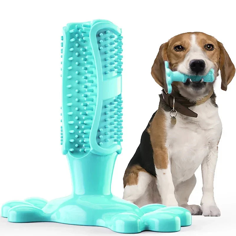 Pet Dog Cactus Interactive Rubber Chew Toy Dental Toothbrush Dispenser