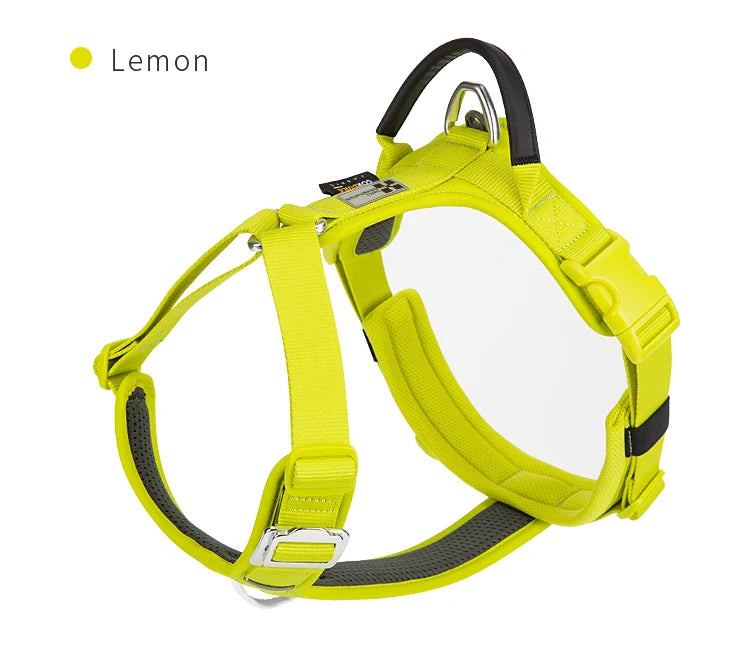SMALL COMBINATION Reflective No Pull Adjustable Nylon Dog Harness