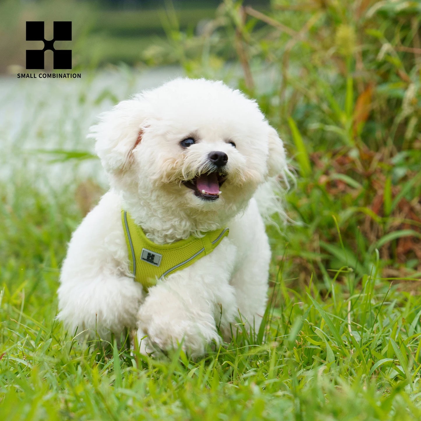 Dog Harness Leash Set Reflective Adjustable For Small Medium Dogs