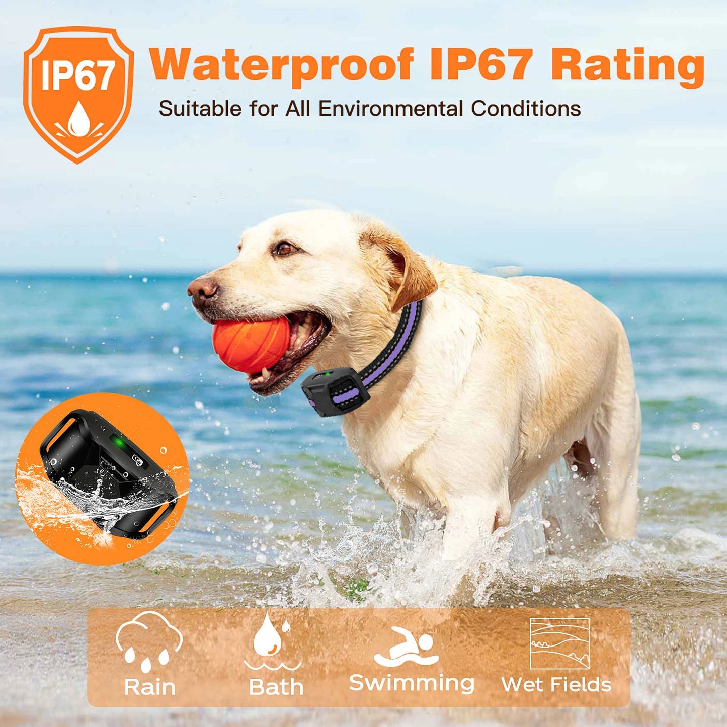 WXRPET 3300ft Waterproof Electric Dog Training Collar With Remote Control