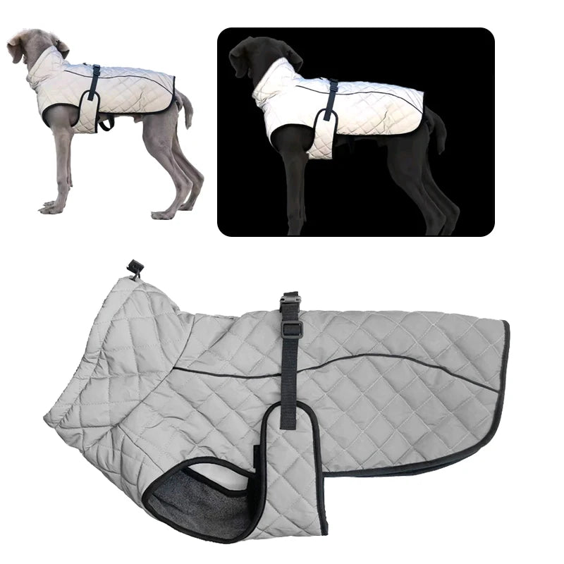 Choice Thickened Autumn Winter Dog Coat Windproof Reflective Water Repellent