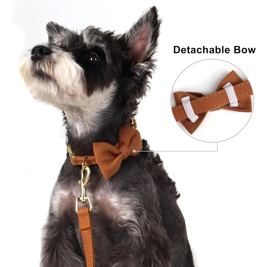 Adjustable Dog Harness Set With Three Detachable Bows And Leash