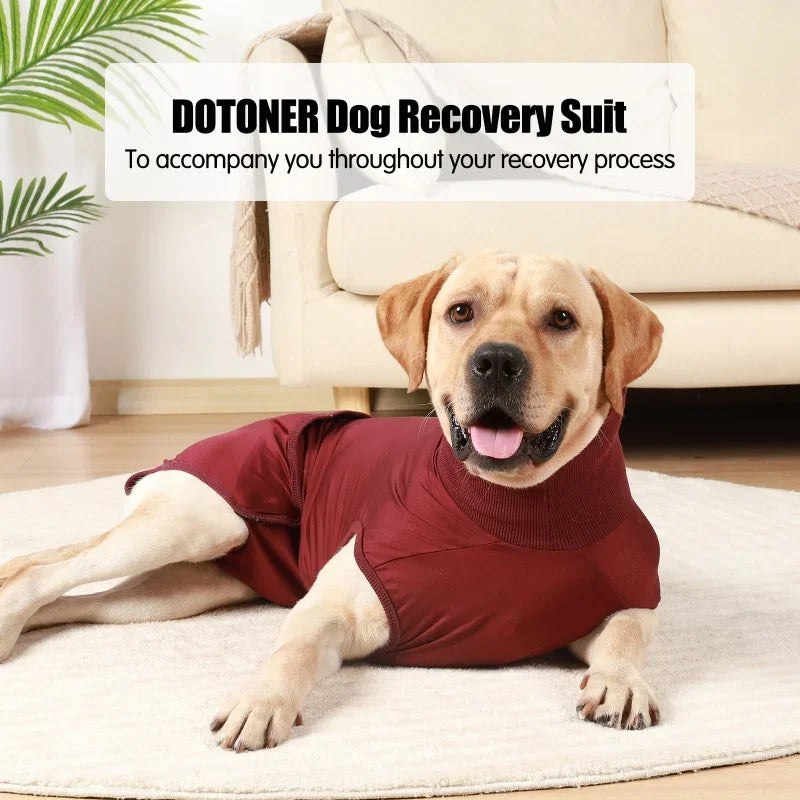 Guangdong Hign-concerned Recovery Dog and Cat Suit for Postoperative Care