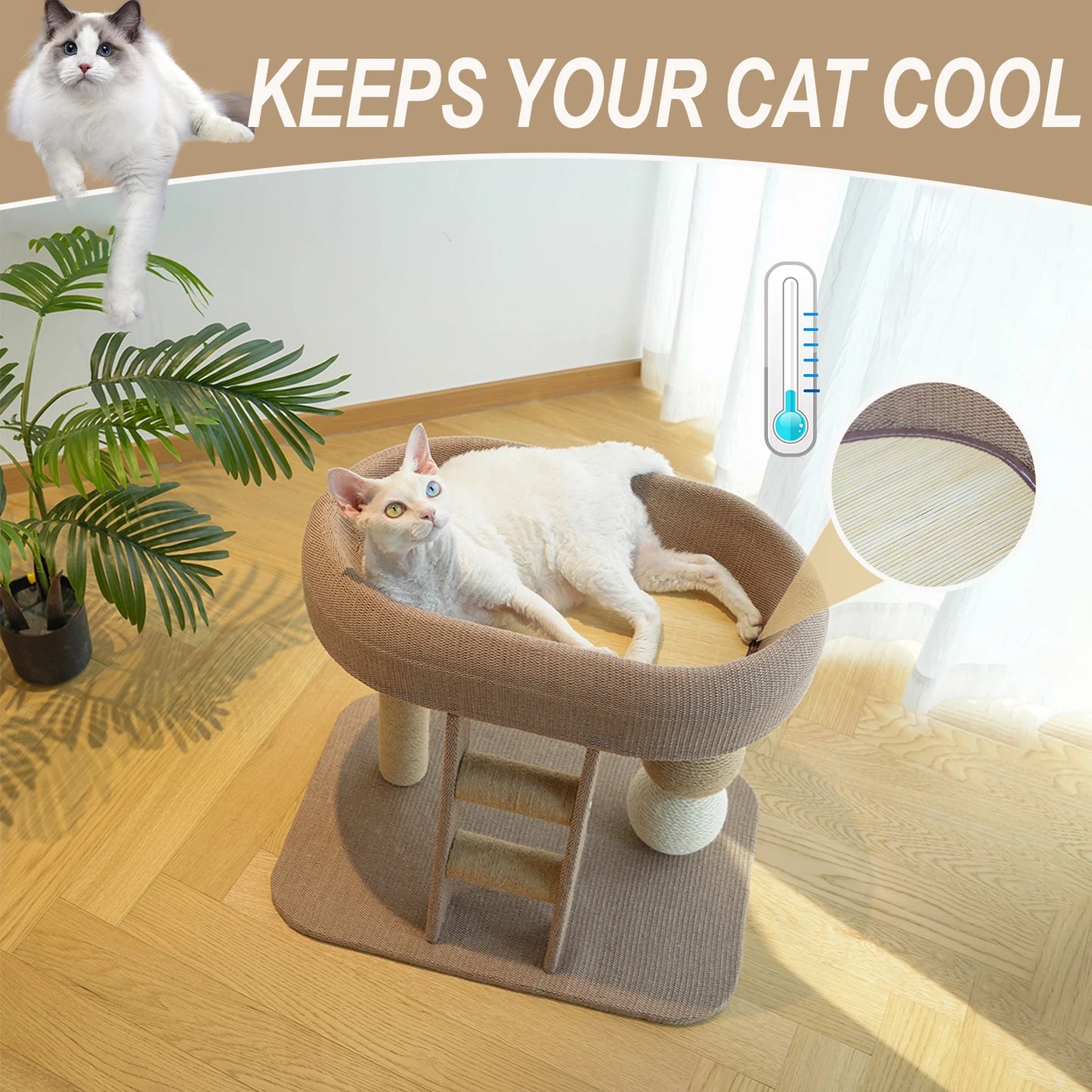 Guangdong Indoor Cat Climbing Frame With Ice Mat and Ball