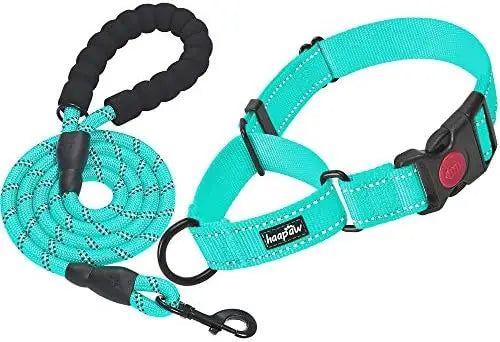 YTYIN Reflective Martingale Dog Collar for Training and Safety