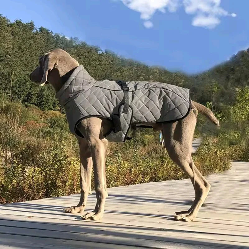 Choice Thickened Autumn Winter Dog Coat Windproof Reflective Water Repellent