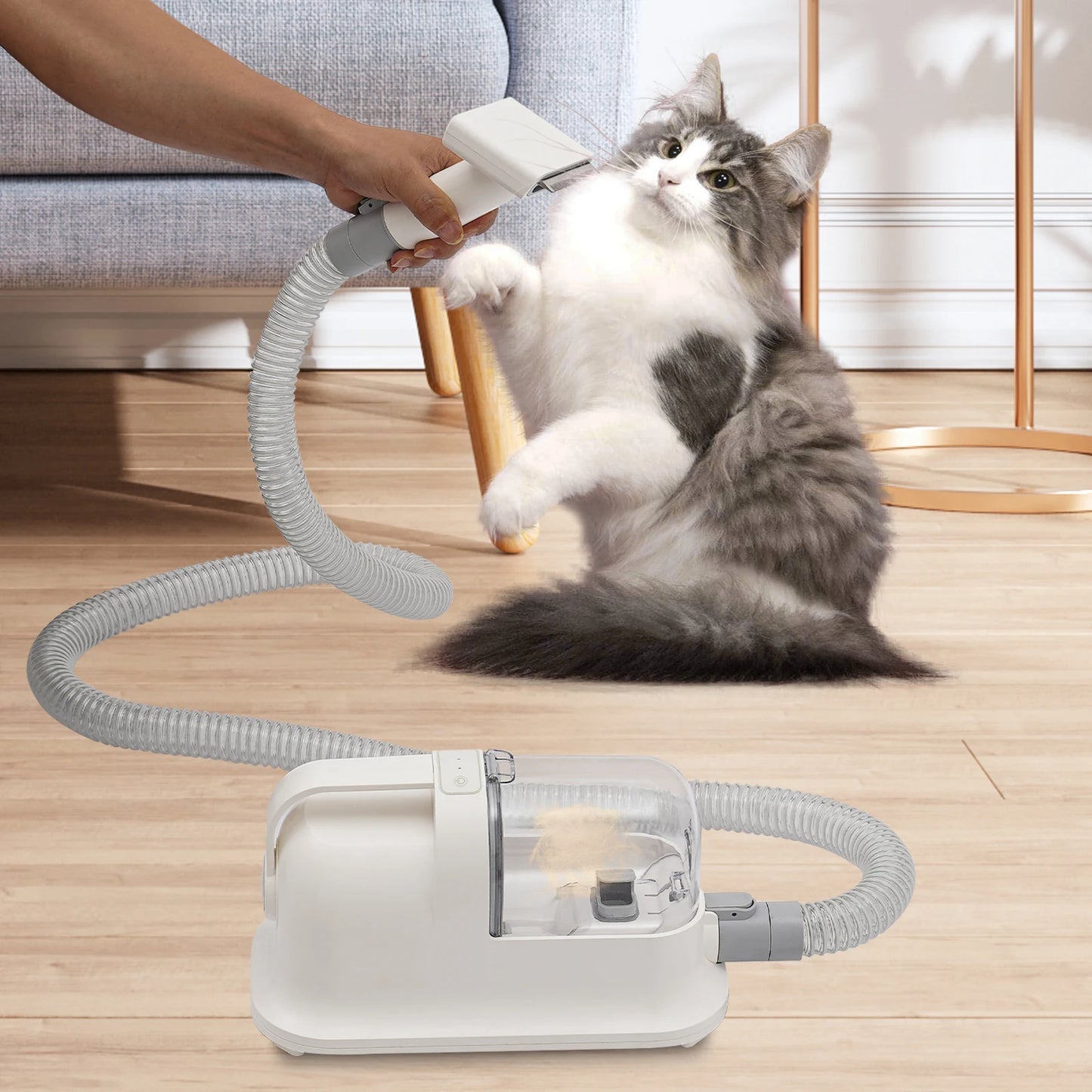 Three In One Pet Hair Grooming Tool With 11800Pa Suction