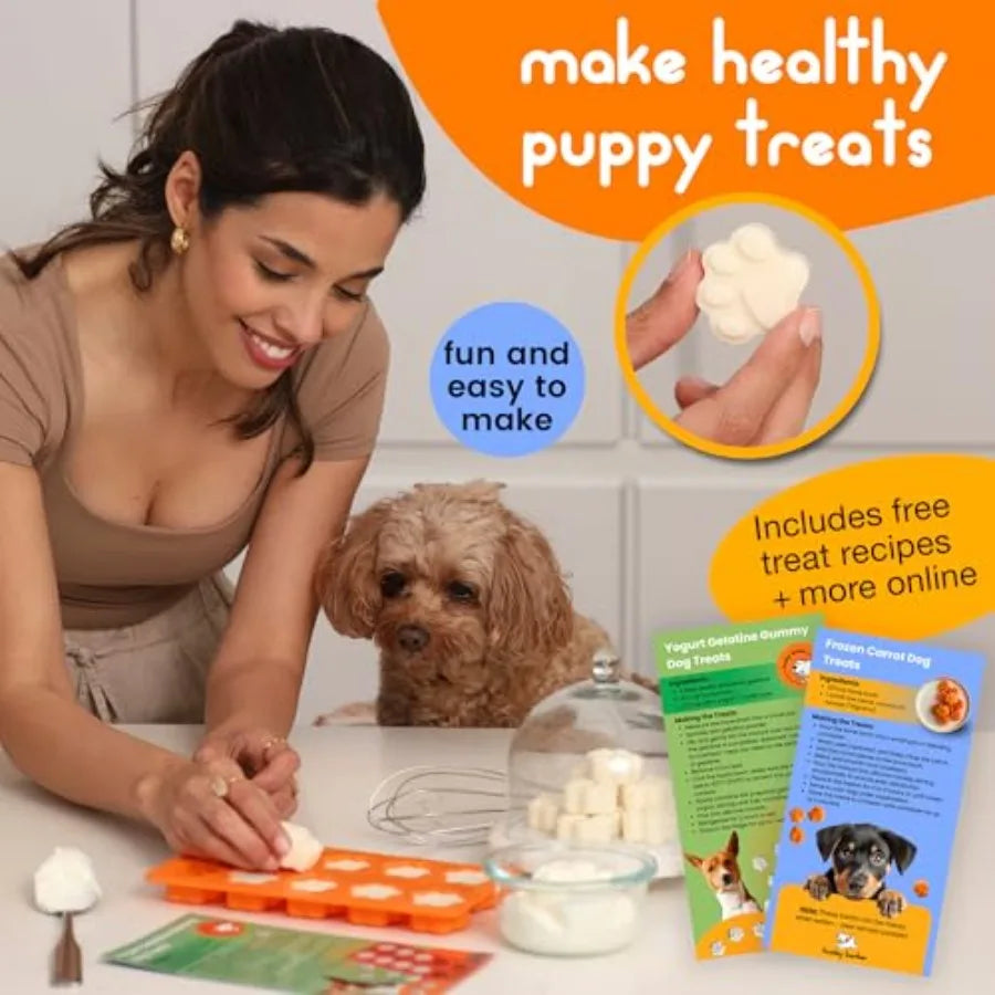 Puppy Starter Kit With Chew Toys And Training Essentials