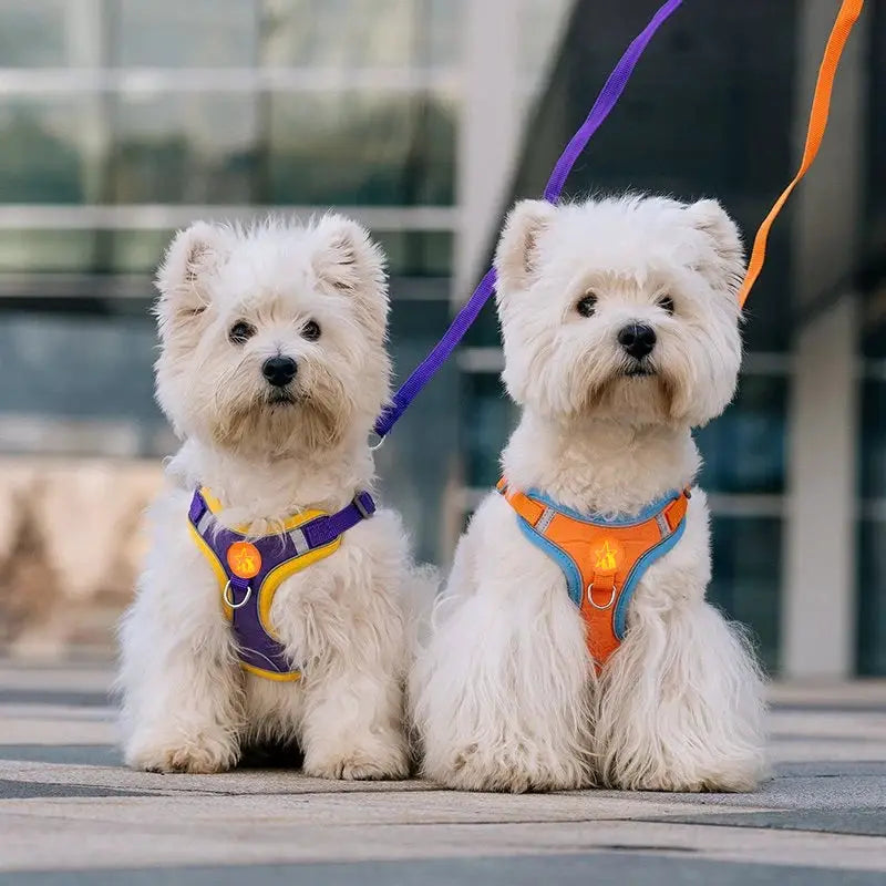 Small Medium Dogs Harness Vest Walking Traction Rope Reflective Straps, Soft Mesh Harness Breathable Pet Supplies by Furtastic Pet Essentials