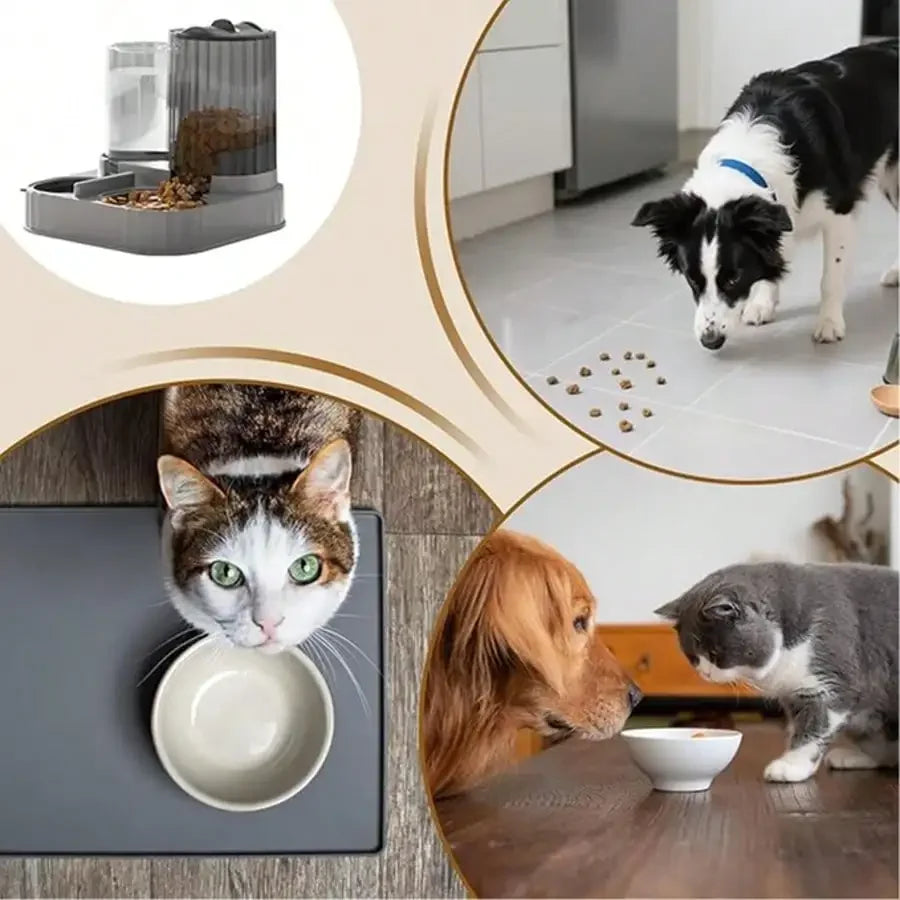 2-In-1 Automatic Dog Bowl And Cat Feeder With Waterer
