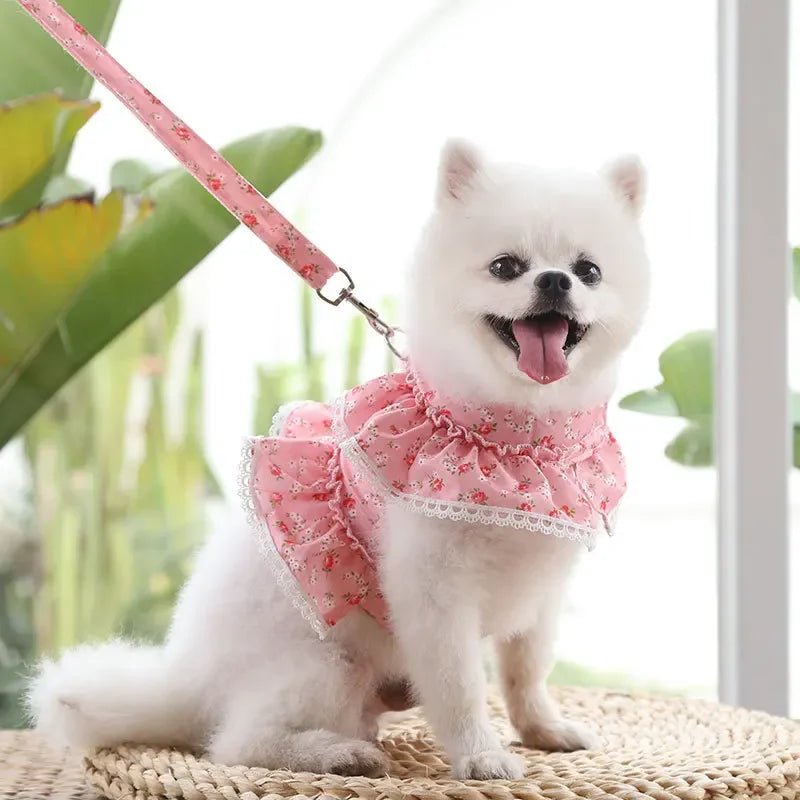 Dog Cat Harness Leash Set Adjustable Lace Floral Vest