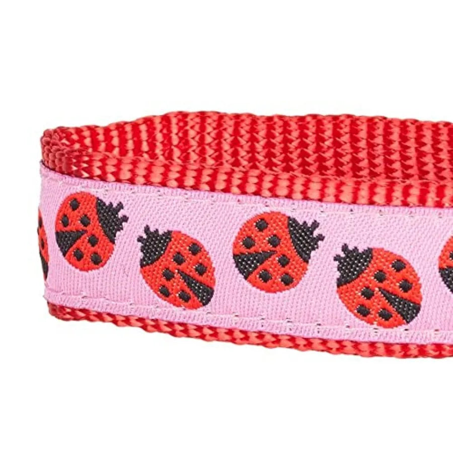 Durable Ladybug Designer Nylon Dog Leash With Webbing Pattern