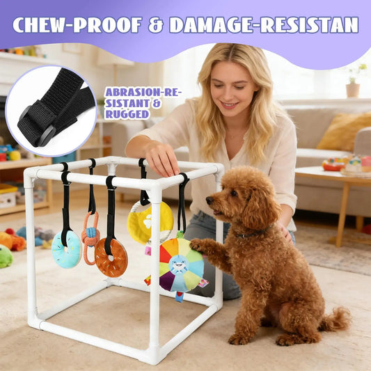 Dog Agility Indoor Playground With Interactive Toys For Small Dogs