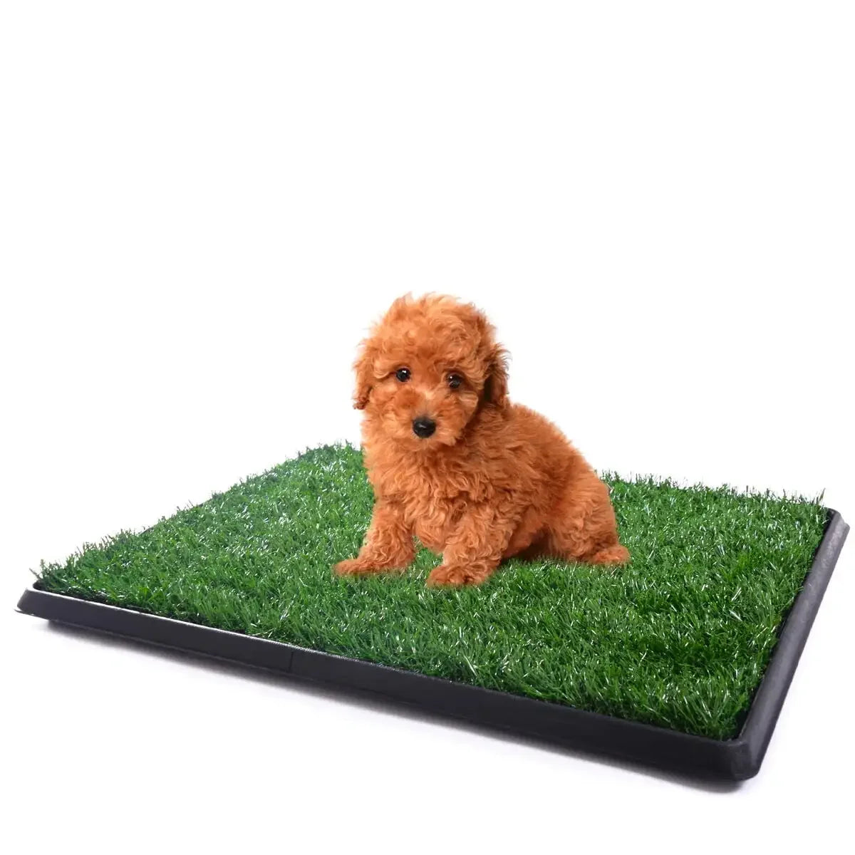 XMSJ Dog Potty Grass Puppy Trainer Fake Turf Outdoor Patio