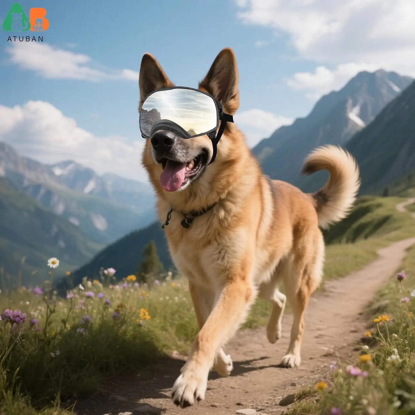 ATUBAN Dog Sunglasses UV Protection Windproof Goggles for Dogs