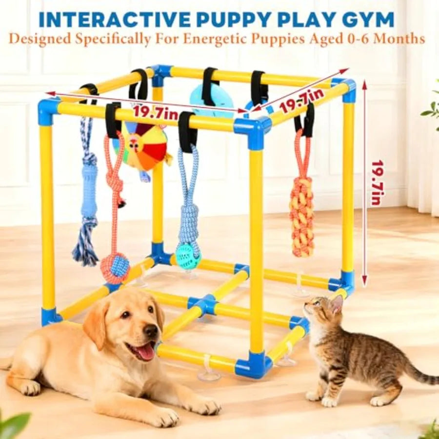 YAO HUI HUANG Puppy Play Gym With 10 Hanging Toys Indoor PVC Frame Jungle Gym