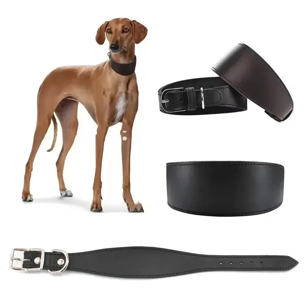 Simple and Adjustable Real Leather Greyhound Collar Wide Huibit Collar Adjustable for Small and Medium Dog Collars Pet Supplies by Furtastic Pet Essentials